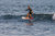 2022 Fanatic Sky Surf Foil 4'8" x 20.5" - Foil Surf