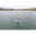 Red Paddle Co. Windsurf 10'7" x 33" x 4.7" Windsurf iSUP + Wasserdichtes Deckbag + Trinkflasche